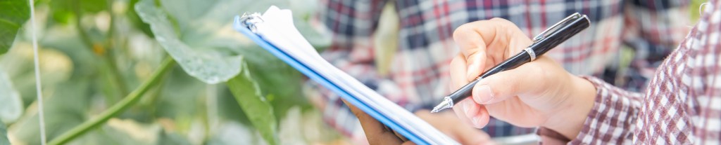 landscaping contract